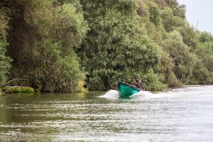 pescuit_delta_dunarii_2